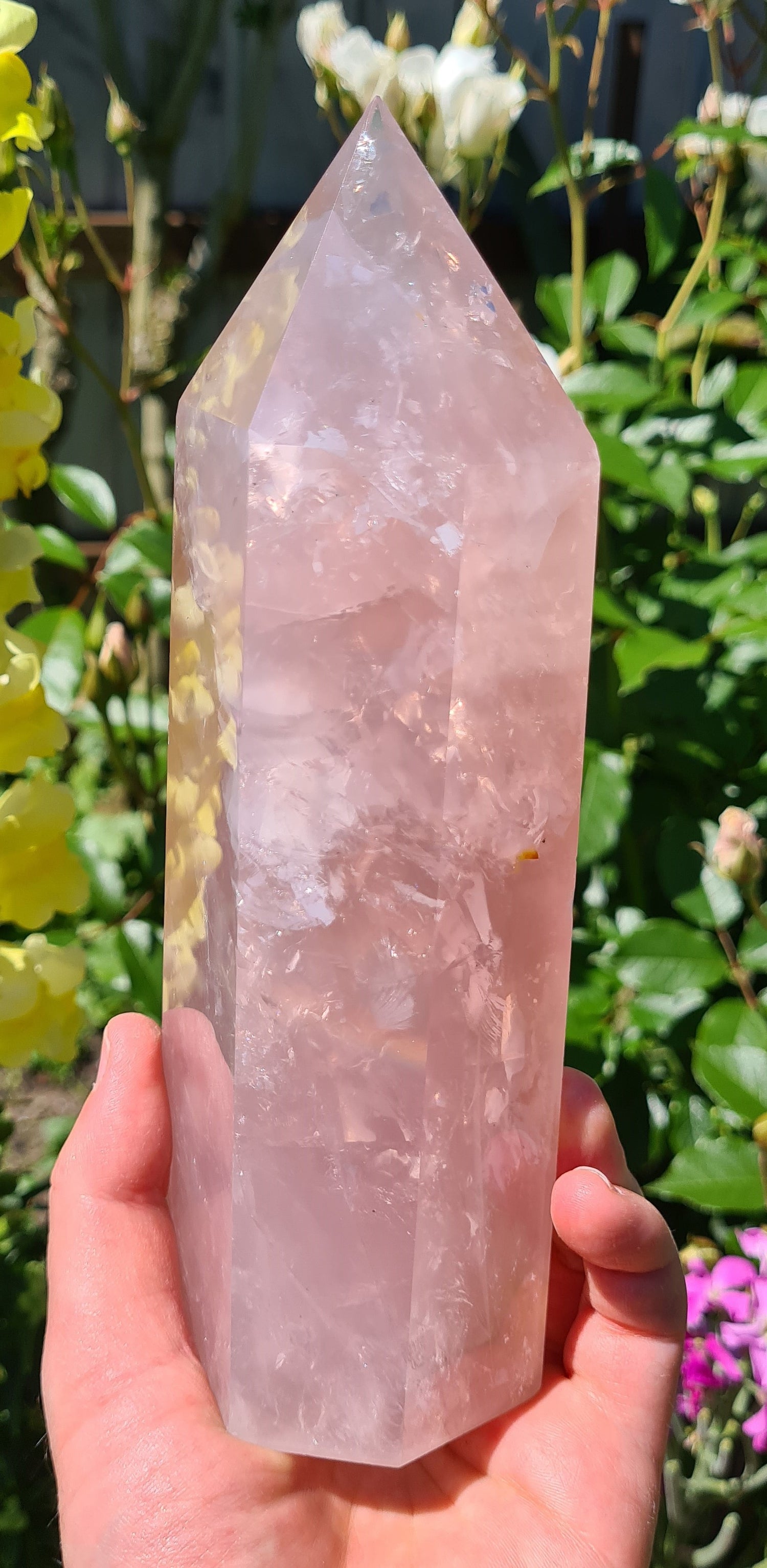 Rose Quartz