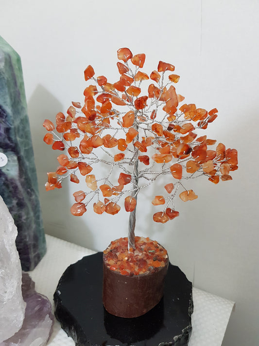 Carnelian Crystal Tree - CT1