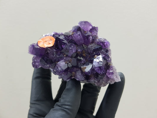 Amethyst Crystal Cluster - AC5