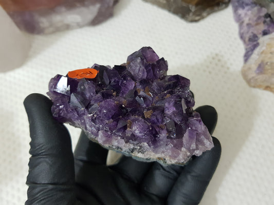 Amethyst Crystal Cluster - AC5