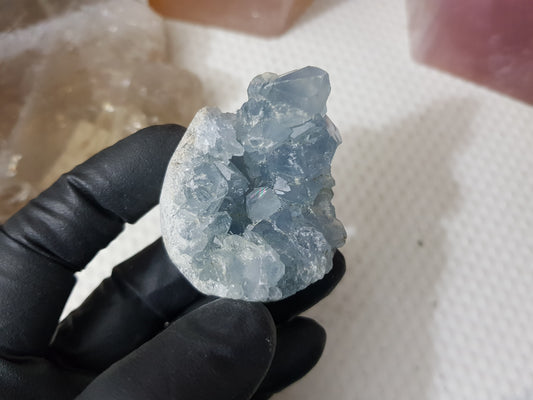 Celestite Crystal Cluster - C4