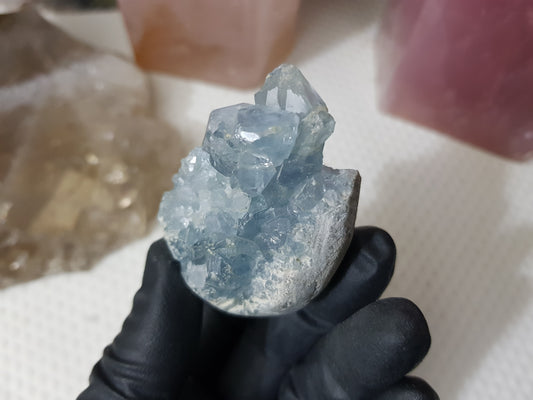 Celestite Crystal Cluster - C4