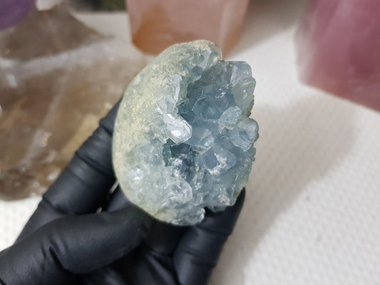 Celestite Crystal Cluster - C5