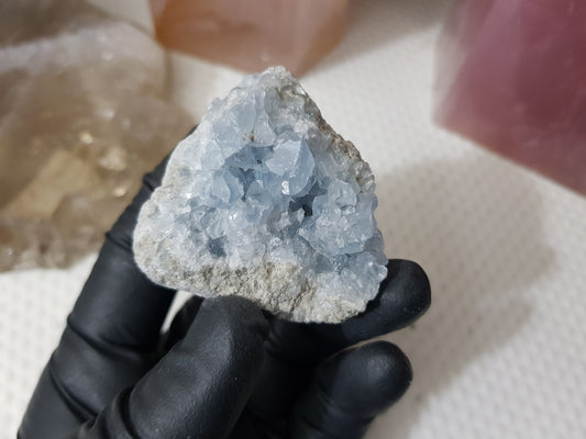 Celestite Crystal Cluster - C6