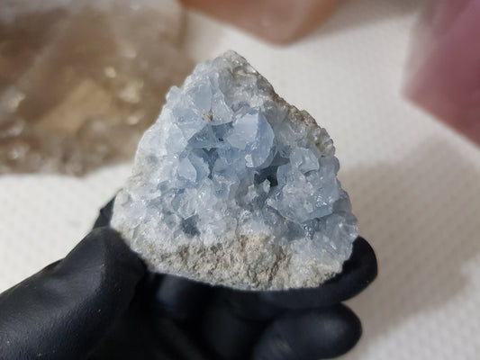 Celestite Crystal Cluster - C6