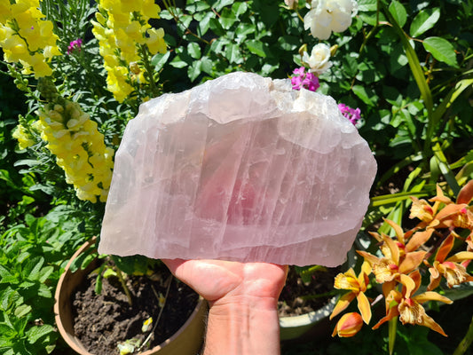 Polished Rose Quartz Crystal Slice - RQS9