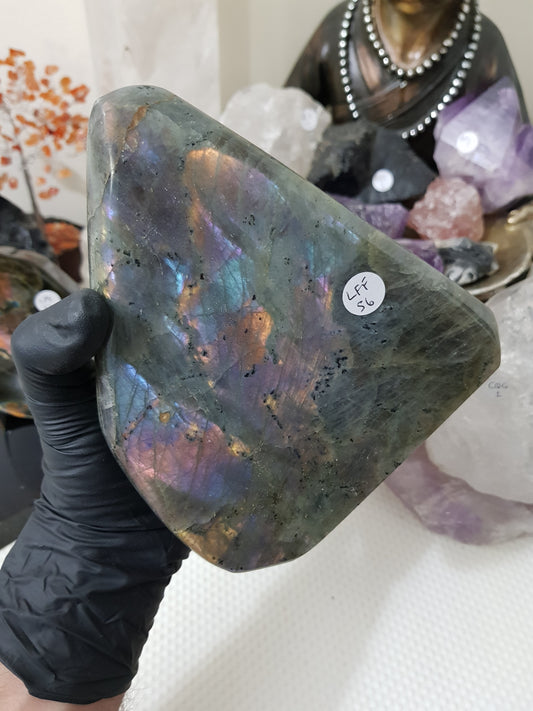 Polished Purple Labradorite Crystal Freeform – LFF56