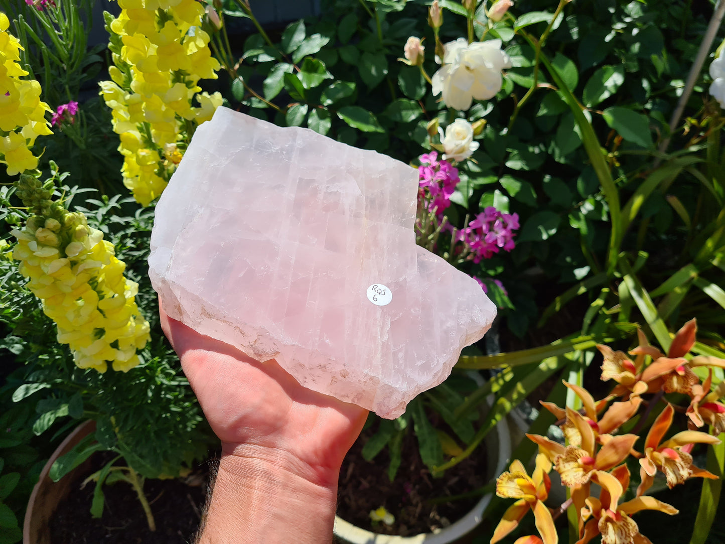 RQS6 - 1 Large Polished Rose Quartz Slice from Brazil