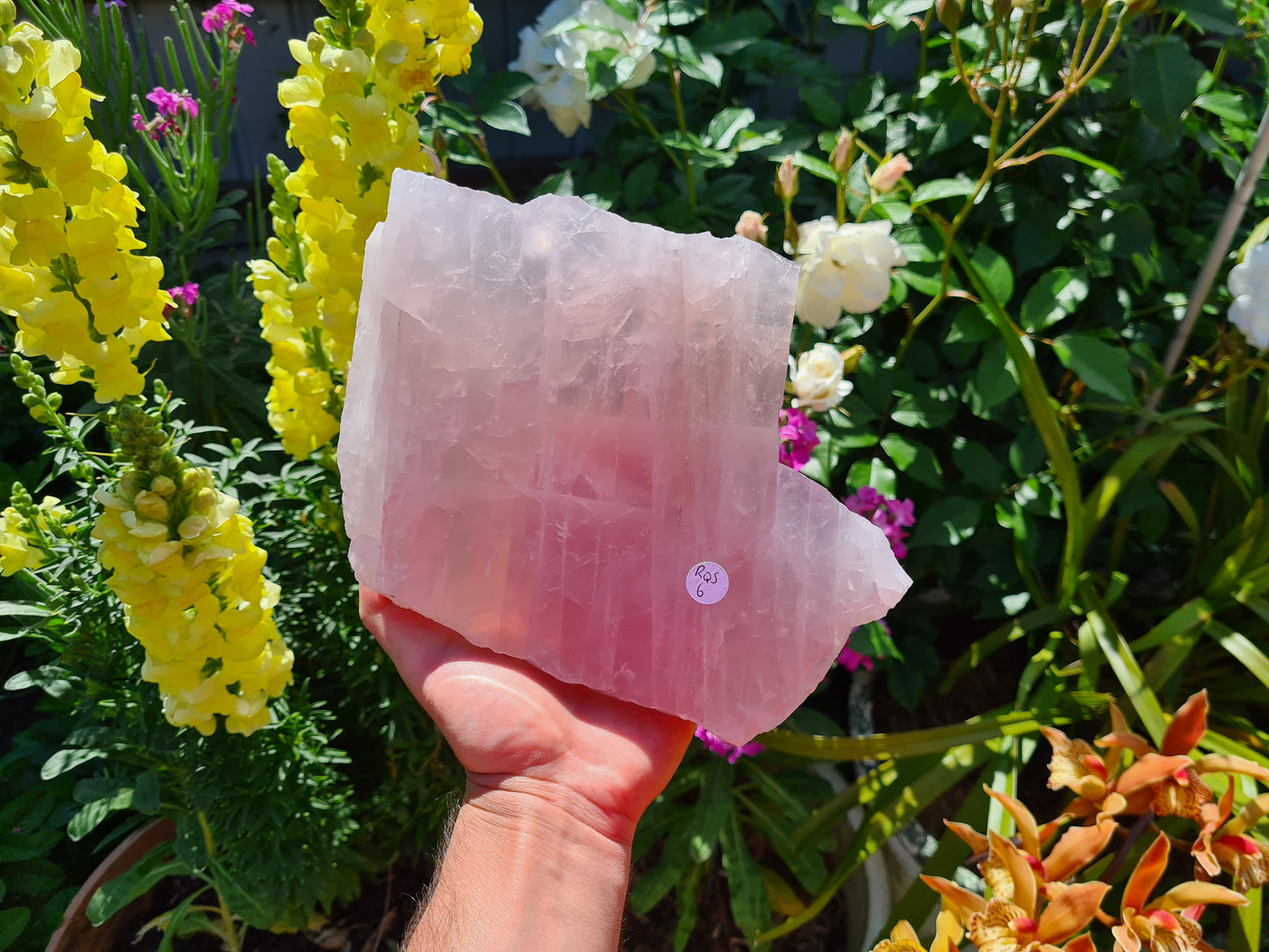 RQS6 - 1 Large Polished Rose Quartz Slice from Brazil