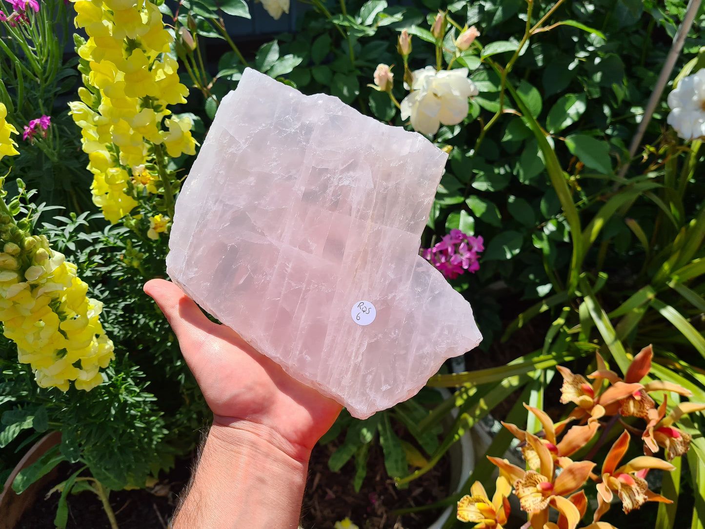 RQS6 - 1 Large Polished Rose Quartz Slice from Brazil