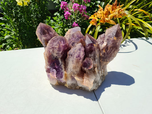 Huge 13kg Ametrine Crystal Cluster with Large Cathedral Points