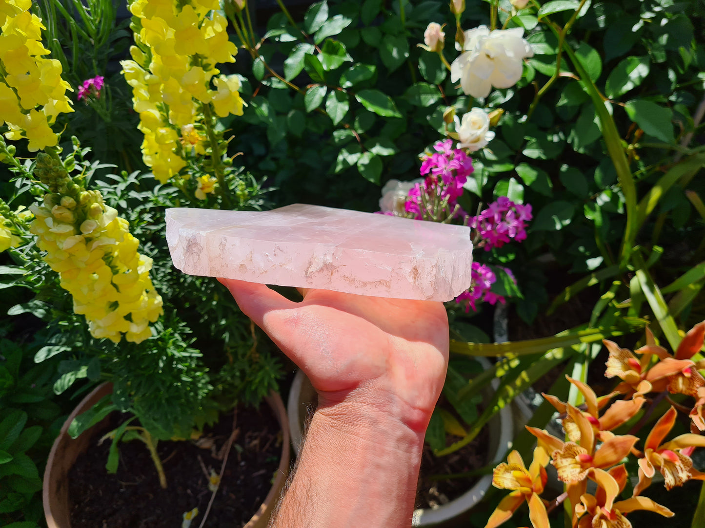 RQS6 - 1 Large Polished Rose Quartz Slice from Brazil