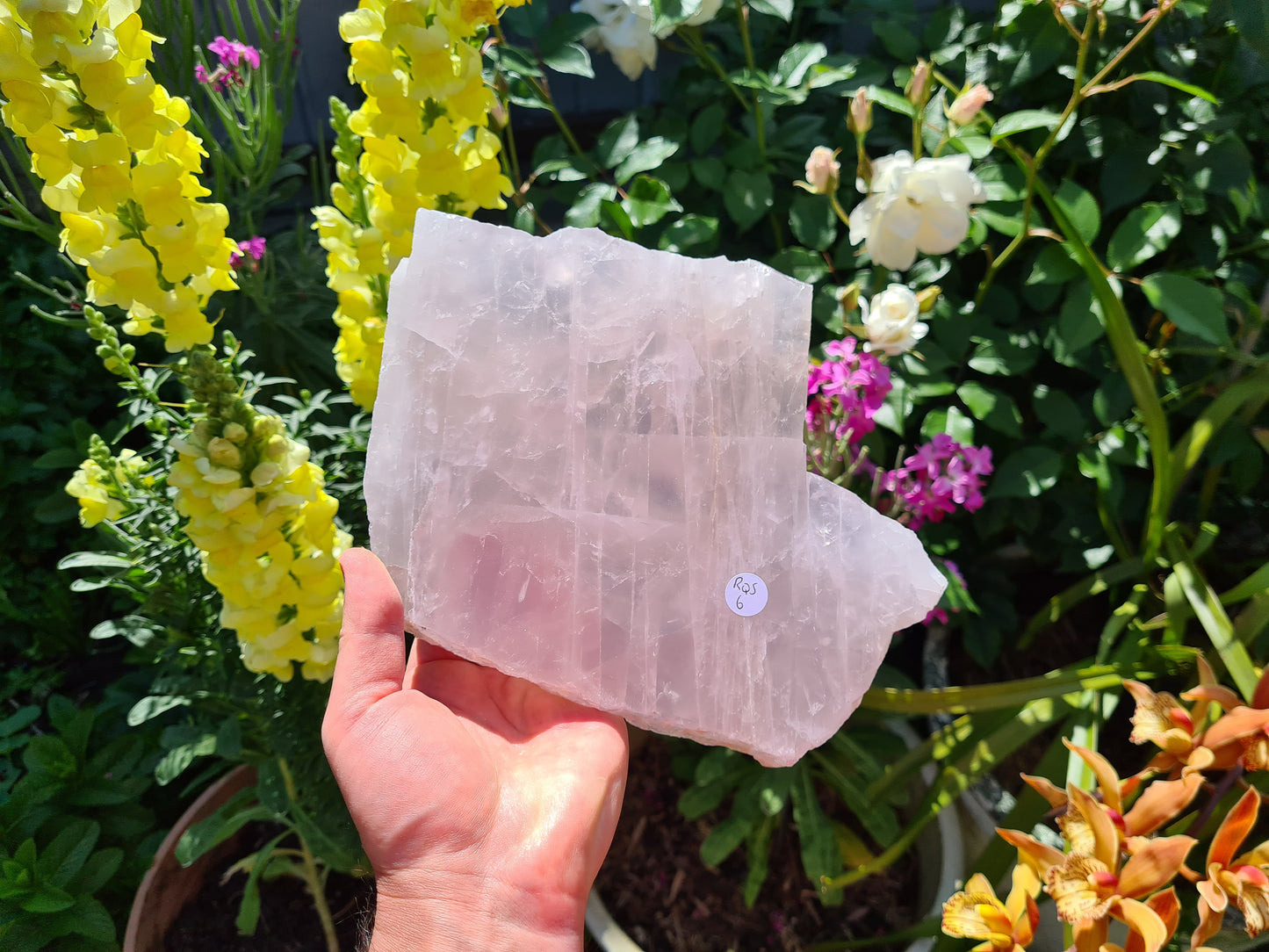 RQS6 - 1 Large Polished Rose Quartz Slice from Brazil