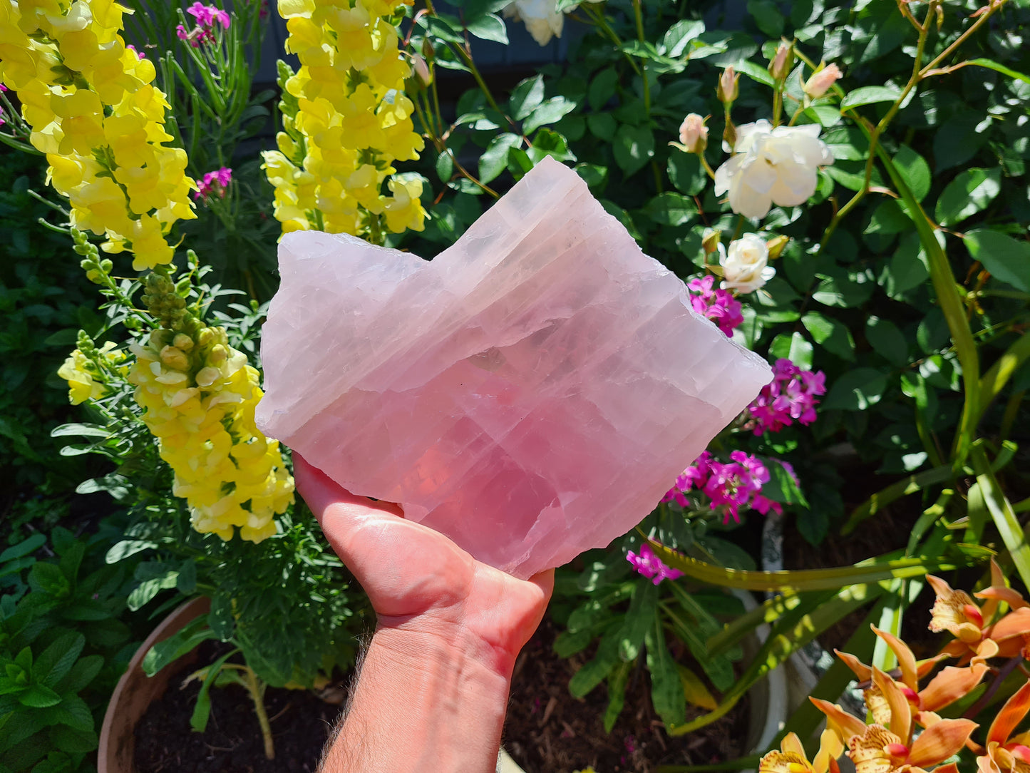 RQS6 - 1 Large Polished Rose Quartz Slice from Brazil