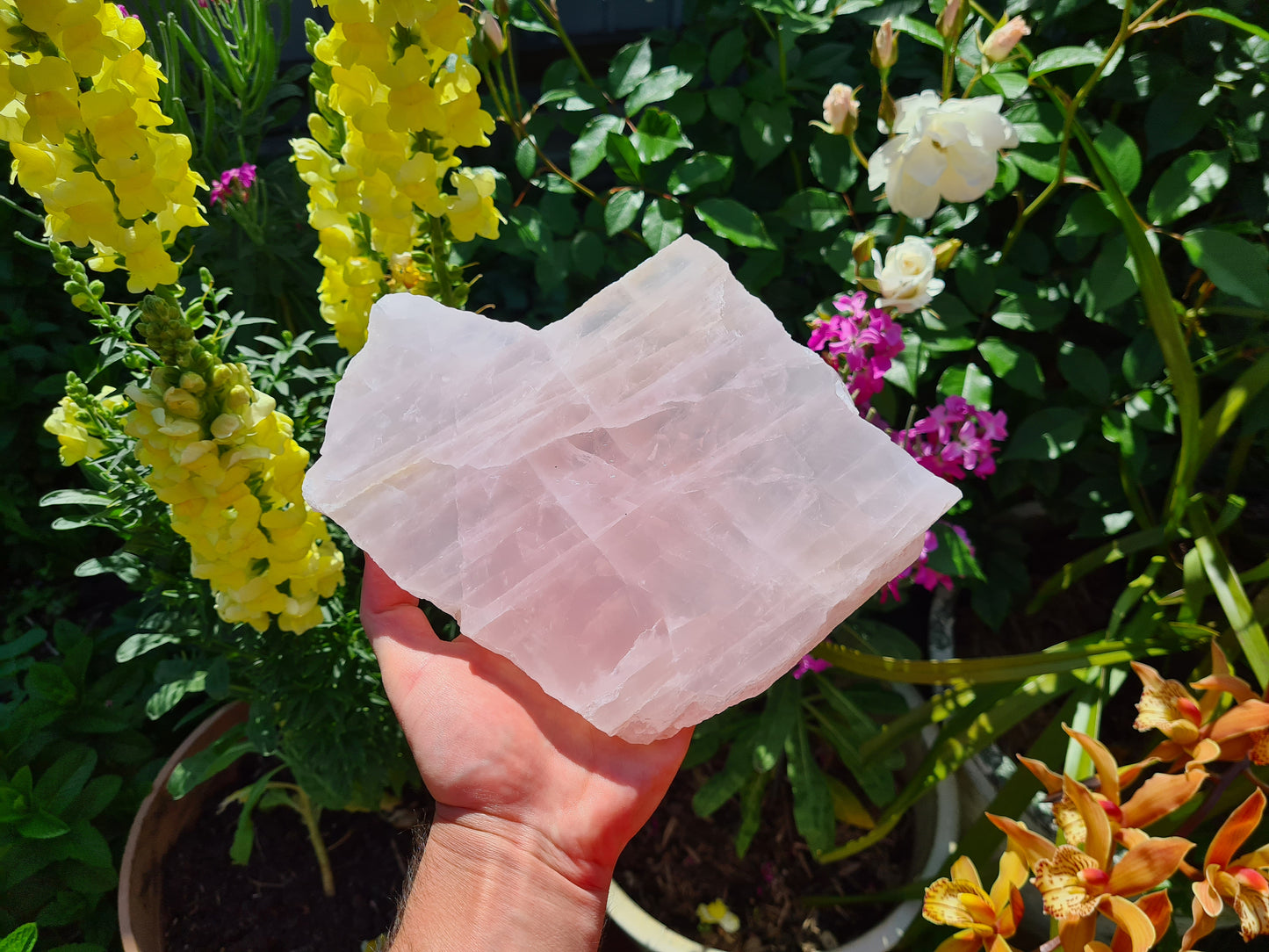 RQS6 - 1 Large Polished Rose Quartz Slice from Brazil