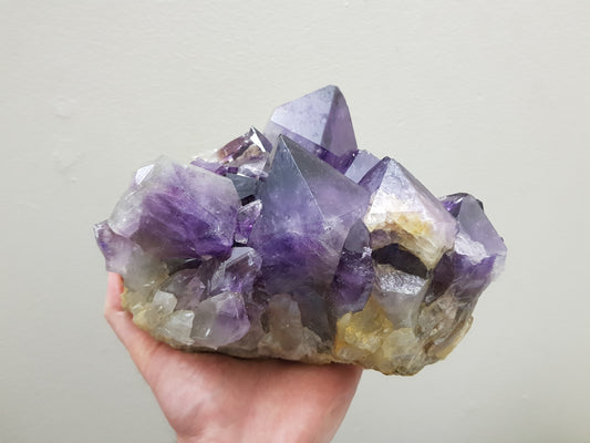 A hand holding an extra large natural amethyst crystal cluster that is approximately 17 centimetres by 16 centimetres in size