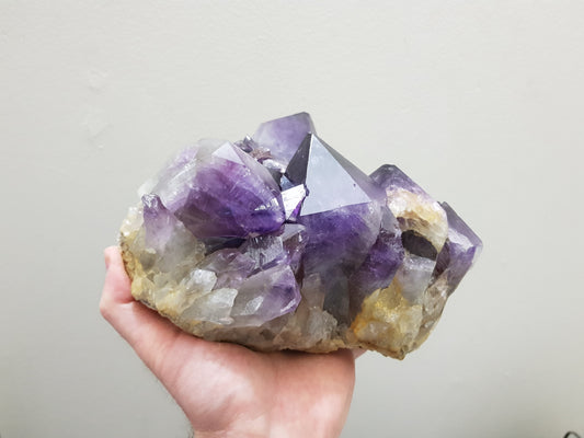 A hand holding an extra large natural amethyst crystal cluster that is approximately 17 centimetres by 16 centimetres in size