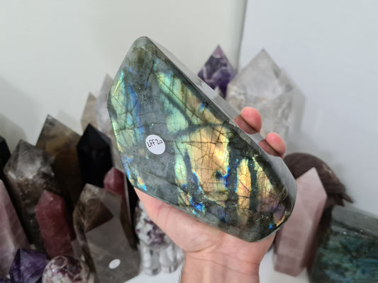 A hand holding a large polished Labradorite crystal freeform with a stunning flash that is approximately 13.5cm by 11.5cm in size