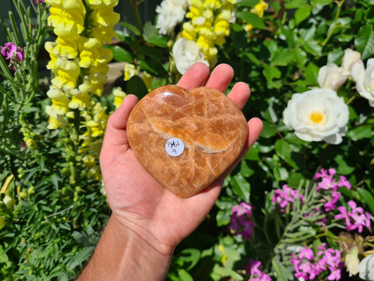 A hand holding a Peach Moonstone crystal heart that is approximately 9.5 centimetres by 9 centimetres in size