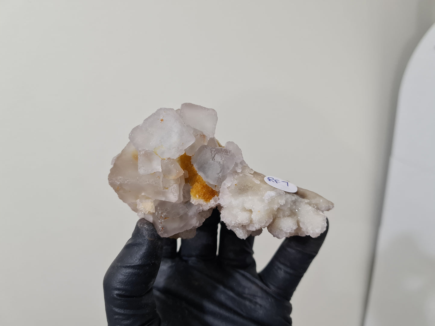 A gloved hand holding a natural Fluorite crystal that is approximately 9.5 centimetres by 6 centimetres in size