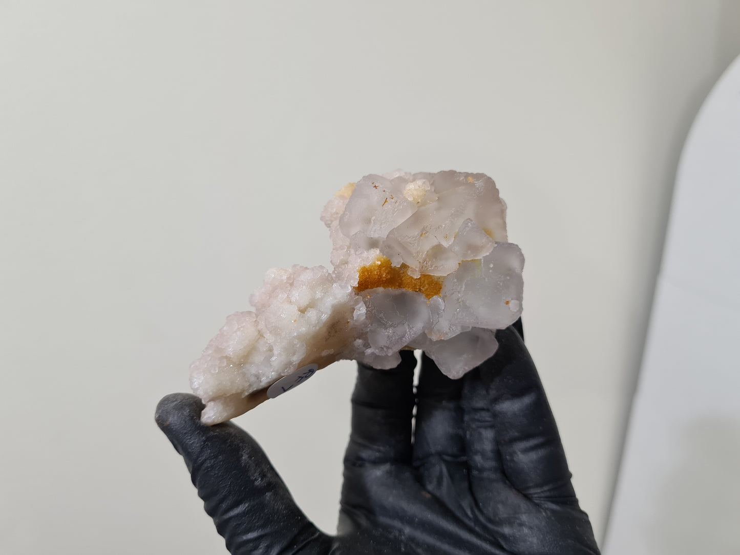 A gloved hand holding a natural Fluorite crystal that is approximately 9.5 centimetres by 6 centimetres in size