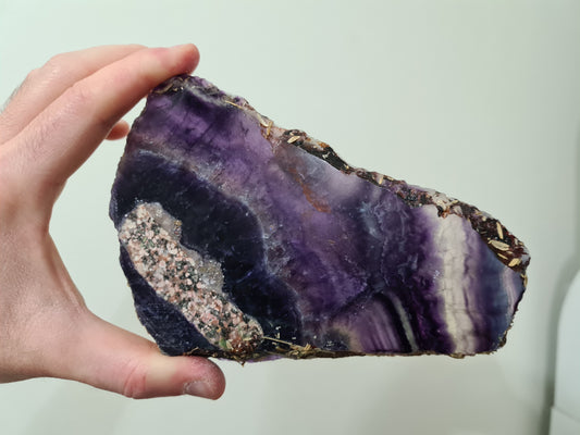 A hand holding a Rainbow Fluorite crystal slice that is approximately 14 centimetres by 9 centimetres in size