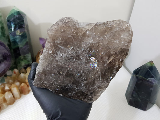 A gloved hand holding a large Smoky Quartz crystal slice that is approximately 16 centimetres by 14 centimetres in size