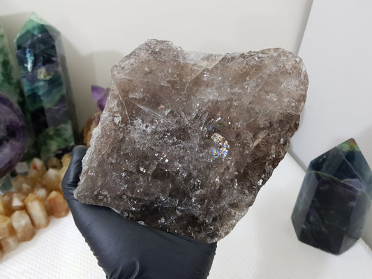 A gloved hand holding a large Smoky Quartz crystal slice that is approximately 16 centimetres by 14 centimetres in size