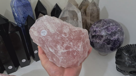 A hand holding a large natural Rose Quartz crystal that is approximately 18 centimetres by 14 centimetres in size